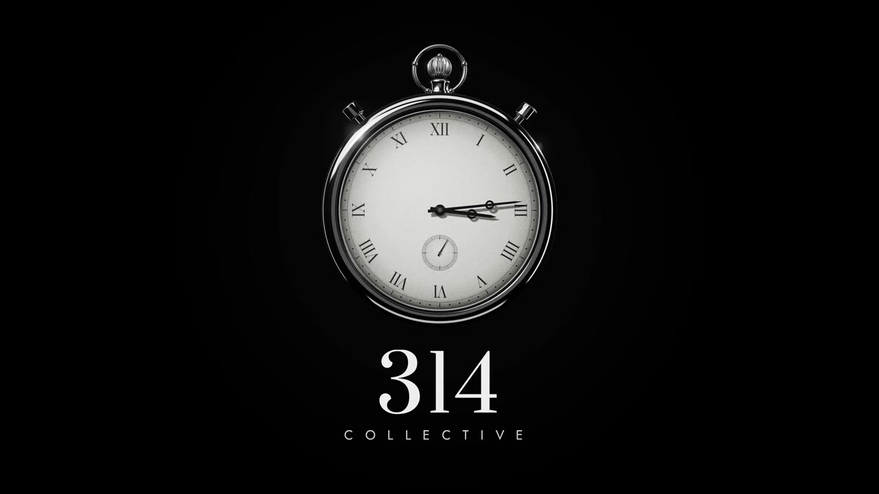 314 Collective logo animation from the Delsity portfolio